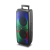 Акустична система RX-6258 (6.5"х2) (8"x2) (20W) - Зображення 3